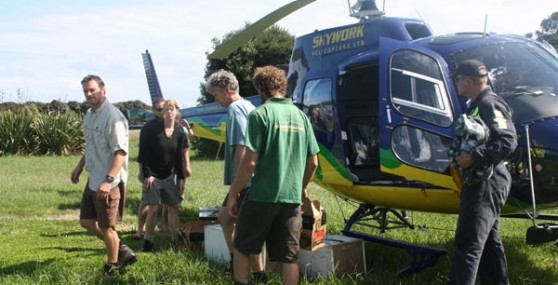 Loading Hihi onto Helicopter