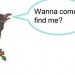 Hihi-find-me