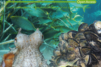 eva_8_8_oc_Layout 1